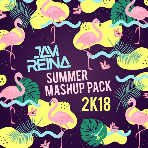 Javi Reina 2018 Summer Mashup Pack