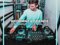 WeDamnz & Friends Mashup Pack Vol. 2