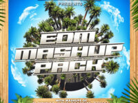 VODKAFISH & Friends 2021 EDM Mashup Pack