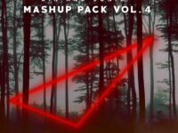 Gin and Sonic Mashup pack Vol.4