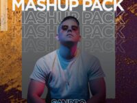 Sandro Lux Mashup Pack Future House