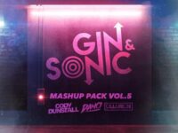 Gin and Sonic Mashup Pack Vol. 5 Gin and Sonic Mashup Pack