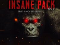 Franz Ragga - Mashup pack Vol. 8