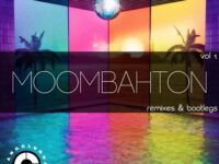 Moombahton & Dancehall Bootleg & Remixes Pack