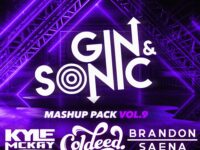 Gin and Sonic Mashup Pack Volume 9