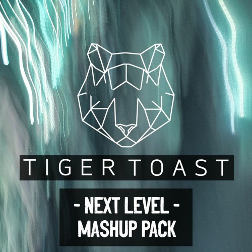 Tiger Toast Next Level Mashup Pack 2022