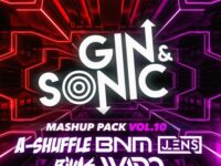 Gin and Sonic's Tech House Remix