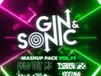Gin and Sonic Mashup Pack Volume 11