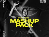 Dyn Standard Mashup Pack Volume 3