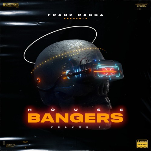 Franz Ragga House Bangers Vol. 1