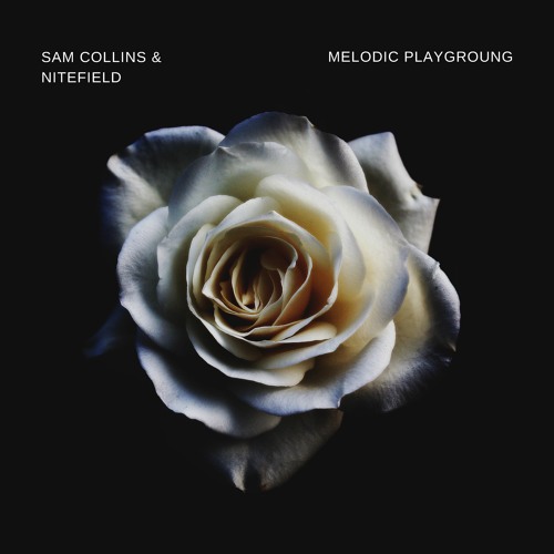 Sam Collins Melodic Playground Mashup Pack with Nitefield