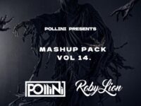 Pollini Mashup Pack Volume 14 2023
