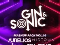 Gin and Sonic Mashup Pack Volume 16