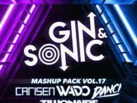 Gin and Sonic Mashup Pack Volume 17