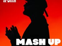 Damien N-Drix Mash Up Pack Volume 2