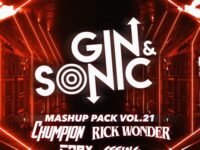 Gin and Sonic Mashup Pack Volume 21
