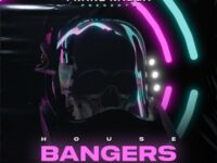 Franz Ragga House Bangers Volume 3