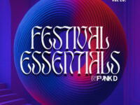 Funk D Festival Essentials Volume 25