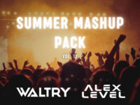 Waltry & Alex Level Summer Mashup pack Volume 12