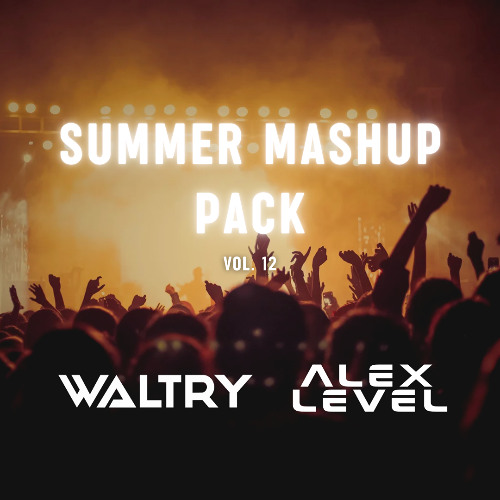 Waltry & Alex Level Summer Mashup pack Volume 12