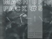 Ingo Bergsen Mashup Pack Volume 5