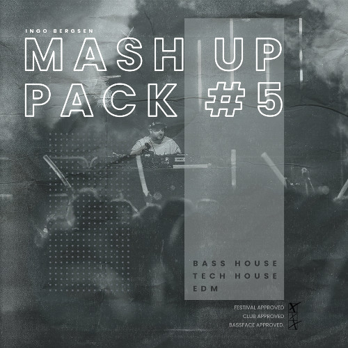 Ingo Bergsen Mashup Pack Volume 5