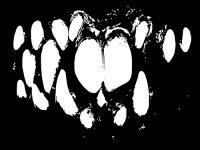 2FACE Spring 2026 Edit Pack